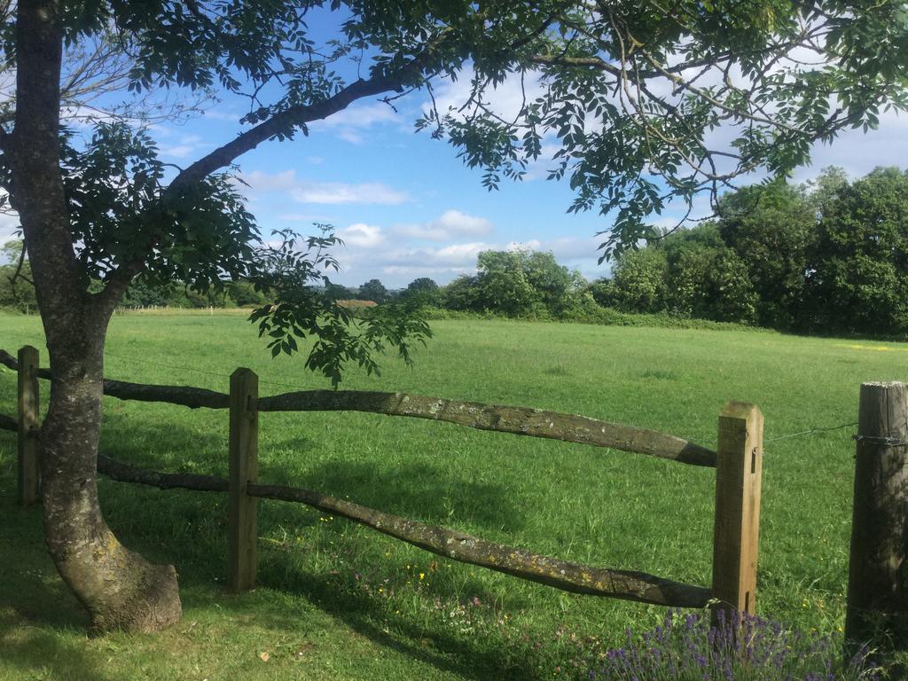The Old Dairy Farm Villa Emsworth Exteriör bild